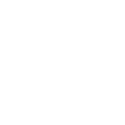 Scori Motors